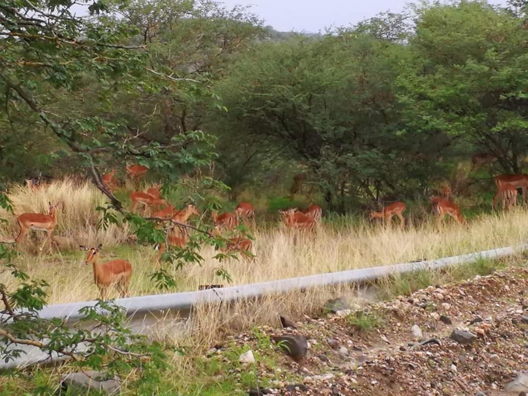 Von Bach Dam Resort Okahandja Exterior photo